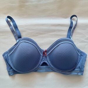 Body Frosting Elegant Blue Mesh Underwire Bra